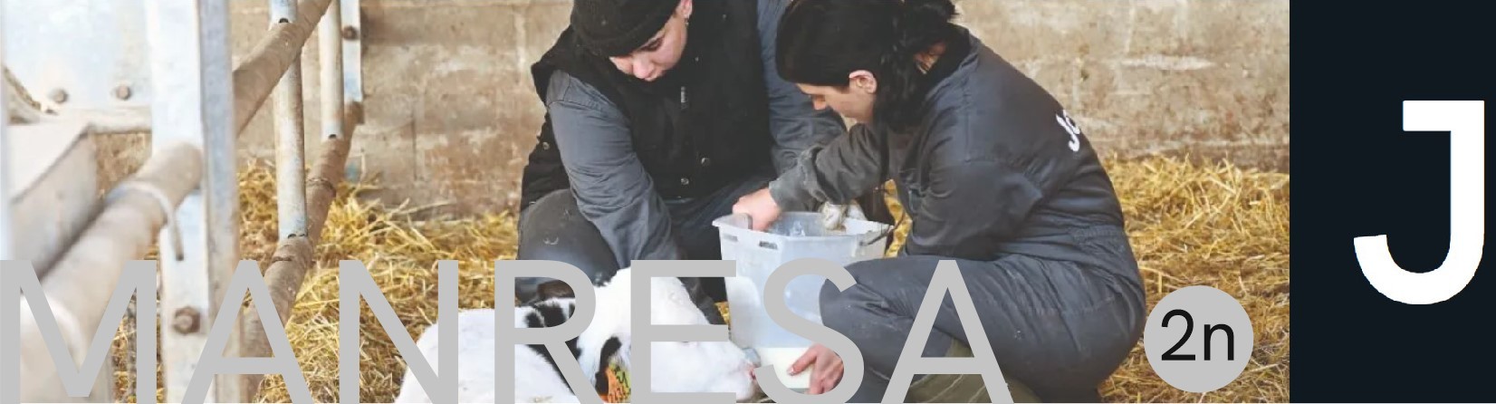 Segons curs - Ramaderia i assistència en sanitat animal - MANRESA